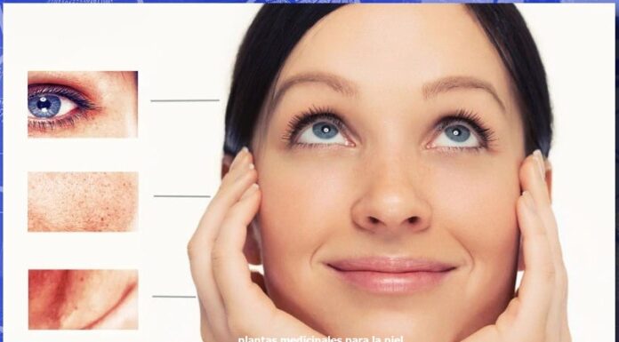 Plantas medicinales para la piel