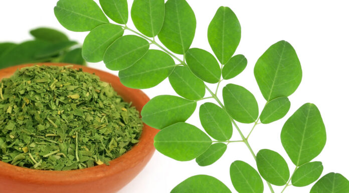 Plantas Medicinales: La Moringa