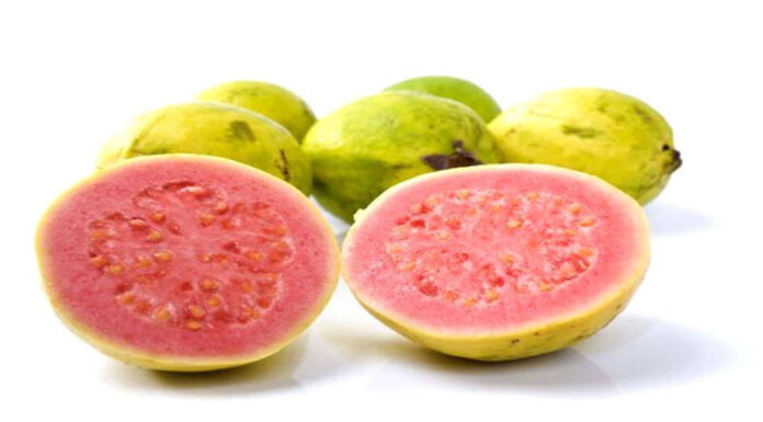 Planta medicinal guayaba Planta medicinal guayaba