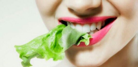 Plantas medicinales comestibles, observa todo sobre ellas