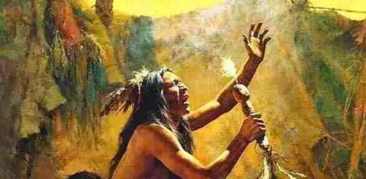 Conoce las plantas medicinales usadas por los pueblos indígenas plantas medicinales indigenas