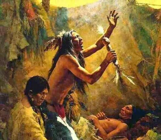 Conoce las plantas medicinales usadas por los pueblos indígenas plantas medicinales indigenas