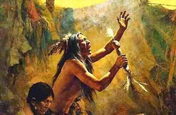 Conoce las plantas medicinales usadas por los pueblos indígenas plantas medicinales indigenas